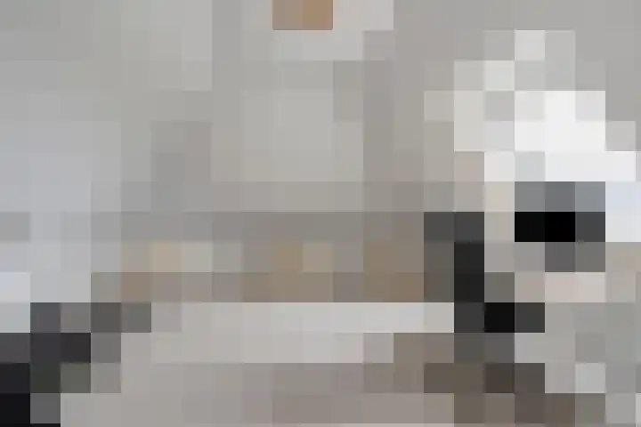 Bethlehemsreed 7 Boelenslaan thumbnail 24