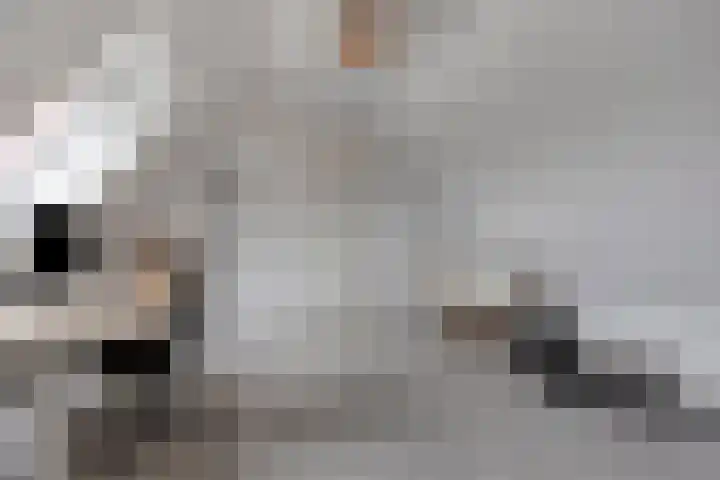 Bethlehemsreed 7 Boelenslaan thumbnail 25