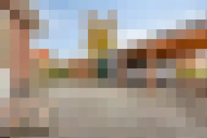 Bethlehemsreed 7 Boelenslaan thumbnail 27
