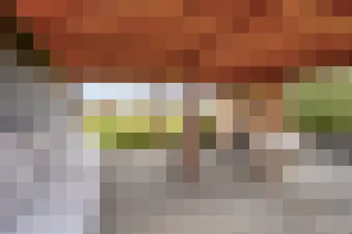 Bethlehemsreed 7 Boelenslaan thumbnail 28
