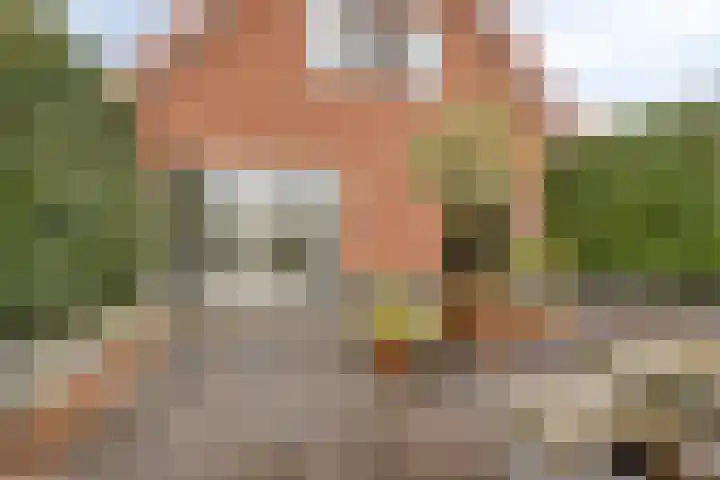 Bethlehemsreed 7 Boelenslaan thumbnail 29
