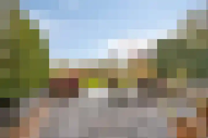 Bethlehemsreed 7 Boelenslaan thumbnail 30