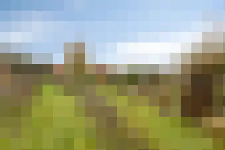 Bethlehemsreed 7 Boelenslaan thumbnail 32