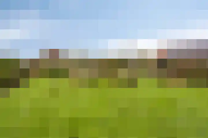 Bethlehemsreed 7 Boelenslaan thumbnail 34