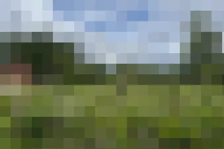 Bethlehemsreed 7 Boelenslaan thumbnail 35