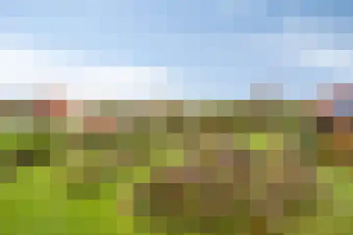 Bethlehemsreed 7 Boelenslaan thumbnail 39
