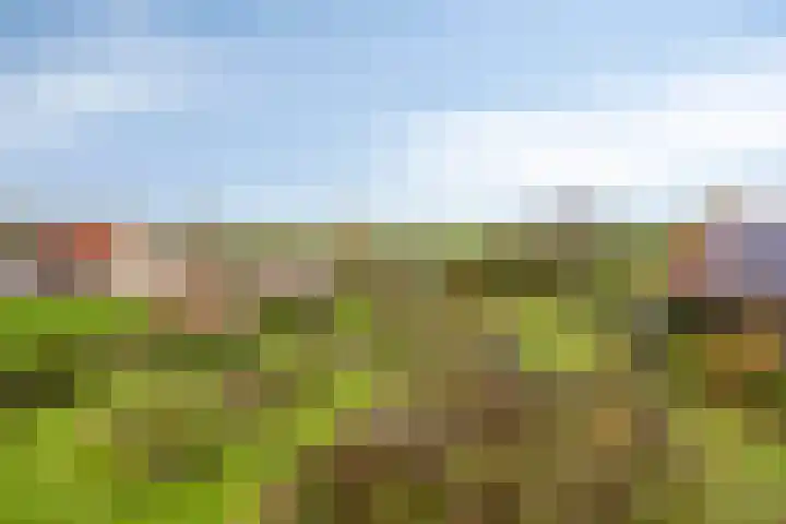 Bethlehemsreed 7 Boelenslaan thumbnail 40