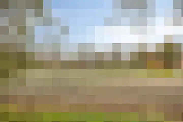 Bethlehemsreed 7 Boelenslaan thumbnail 41