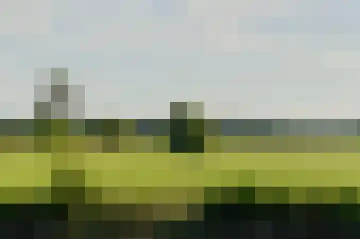 Bethlehemsreed 7 Boelenslaan thumbnail 42