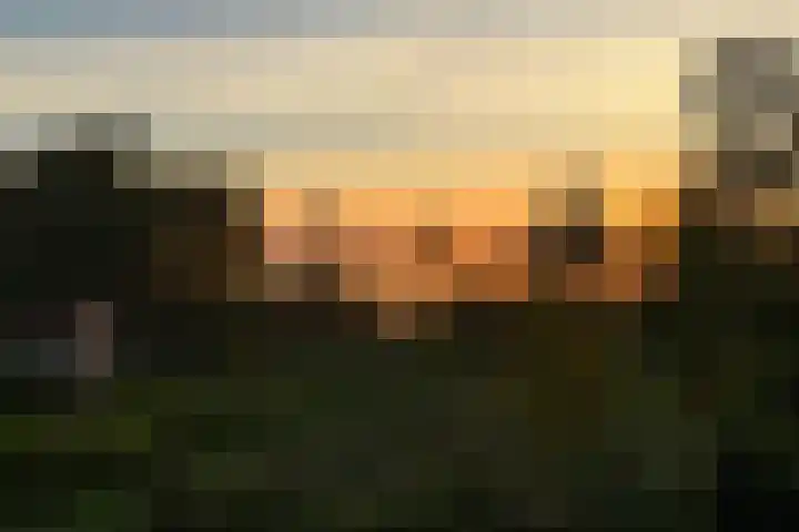 Bethlehemsreed 7 Boelenslaan thumbnail 43