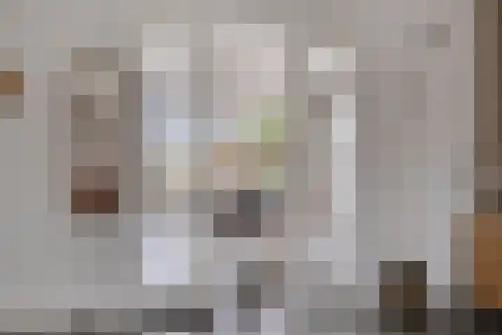 Bethlehemsreed 7 Boelenslaan thumbnail 7
