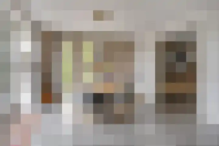 Bethlehemsreed 7 Boelenslaan thumbnail 8