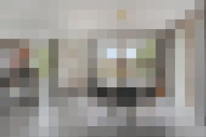 Bethlehemsreed 7 Boelenslaan thumbnail 9
