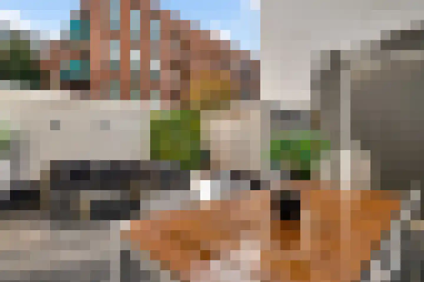 Bethlehemstraat 124 Roermond thumbnail 41