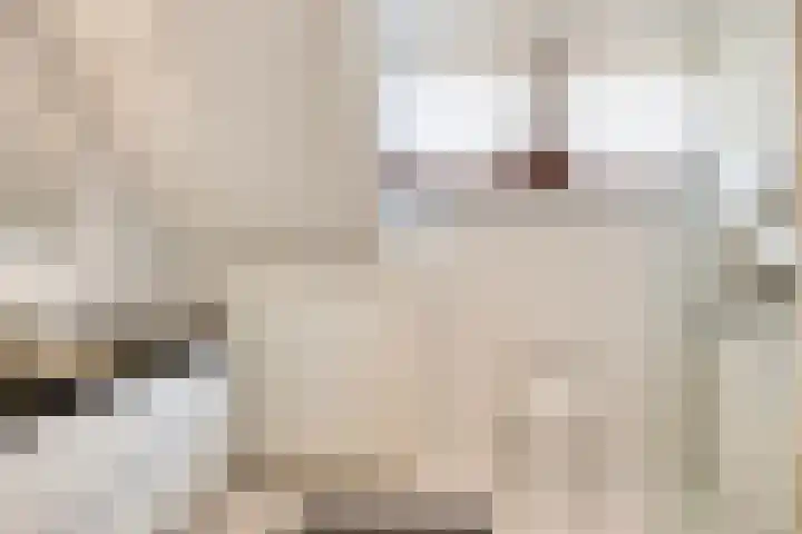 Bethlehemstraat 3 Bocholtz thumbnail 17