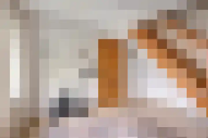Bethlehemstraat 3 Bocholtz thumbnail 26