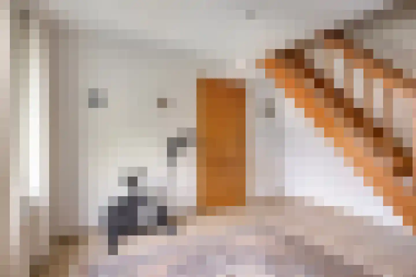 Bethlehemstraat 3 Bocholtz thumbnail 26