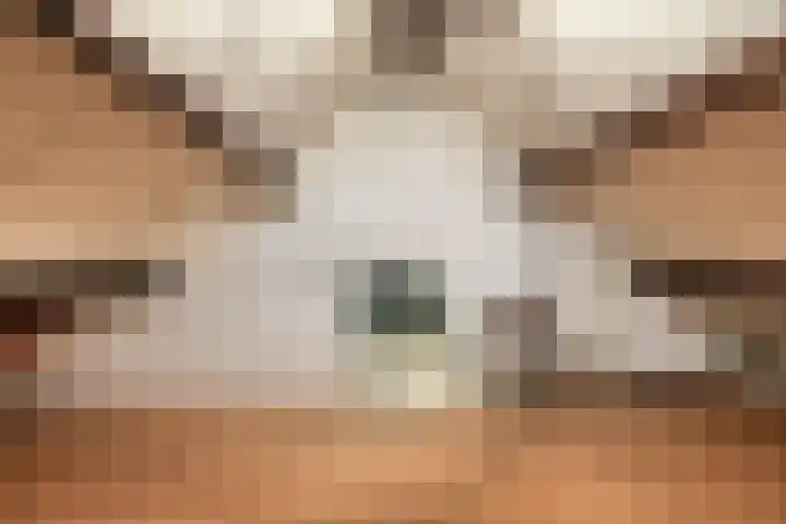 Bethlehemstraat 3 Bocholtz thumbnail 32