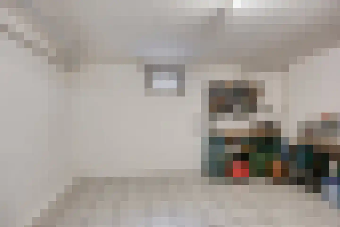 Bethlehemstraat 3 Bocholtz thumbnail 36