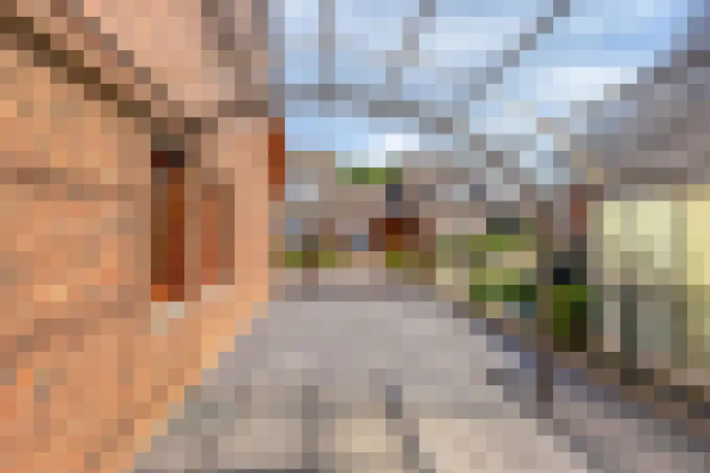 Bethlehemstraat 3 Bocholtz thumbnail 39