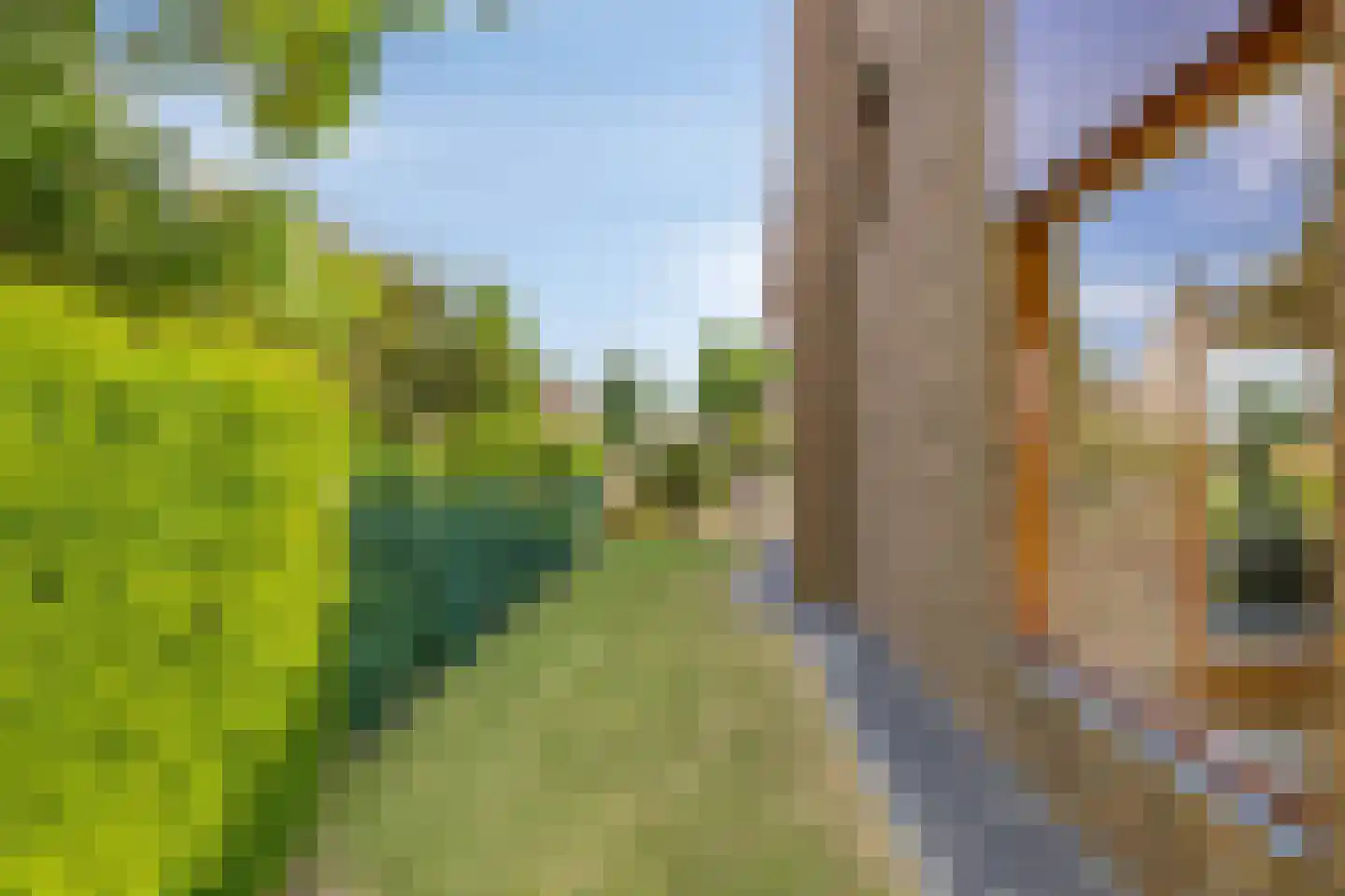 Bethlehemstraat 3 Bocholtz thumbnail 41