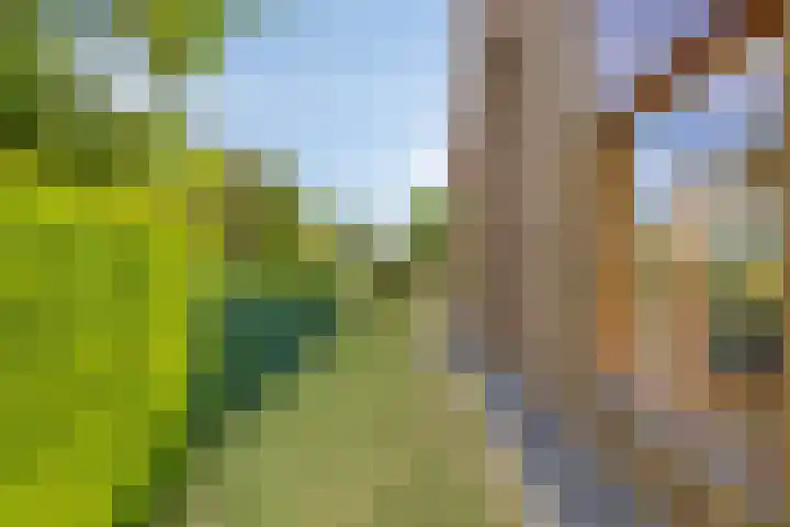 Bethlehemstraat 3 Bocholtz thumbnail 41