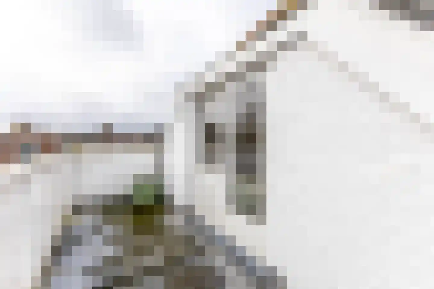 Bethlehemstraat 30 B Rotterdam thumbnail 4