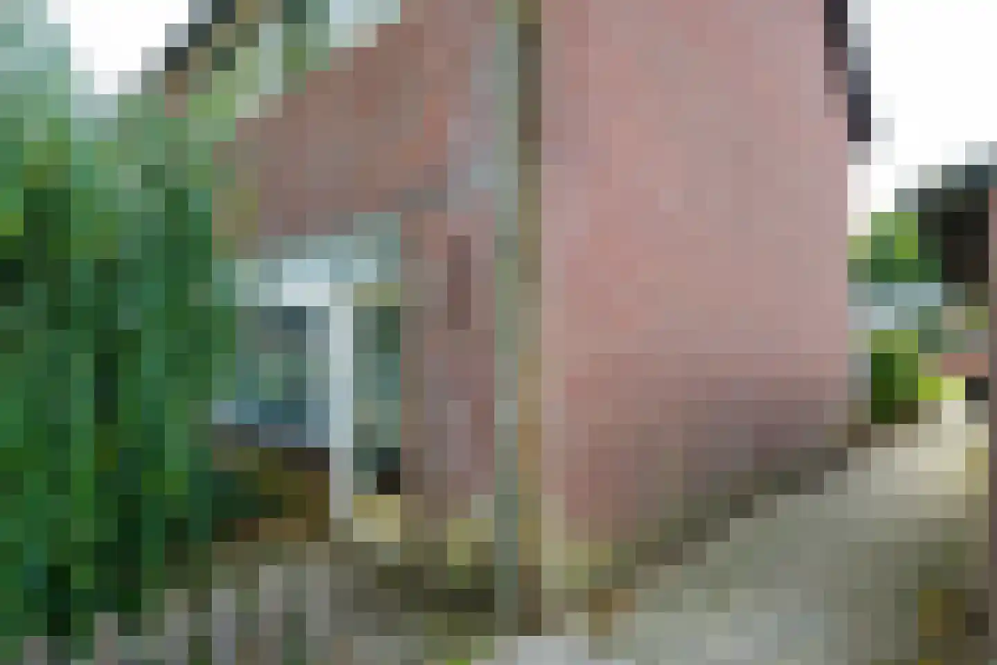 Bethlehemstraat 36 Gaanderen thumbnail 10