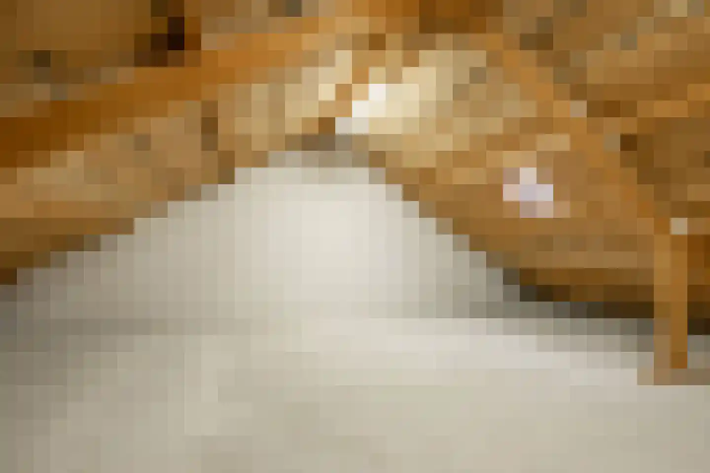Bethlehemstraat 36 Gaanderen thumbnail 33
