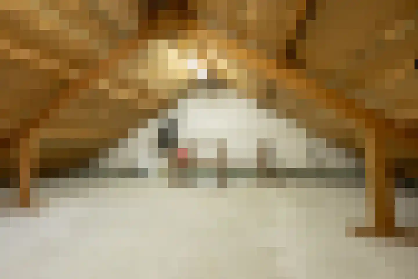 Bethlehemstraat 36 Gaanderen thumbnail 34