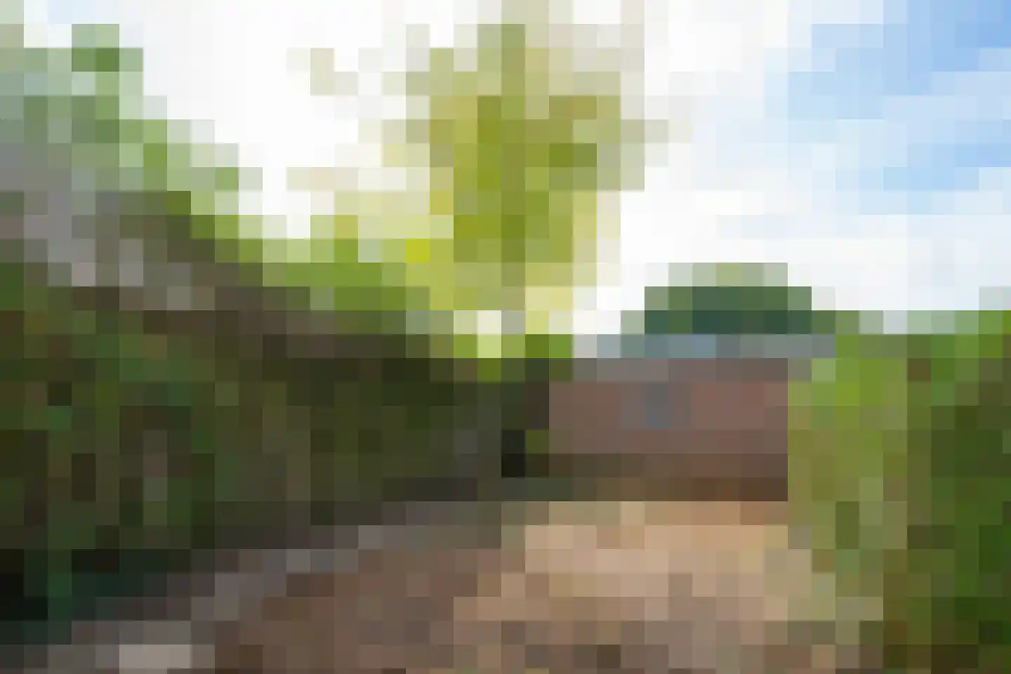 Bethlehemstraat 36 Gaanderen thumbnail 35