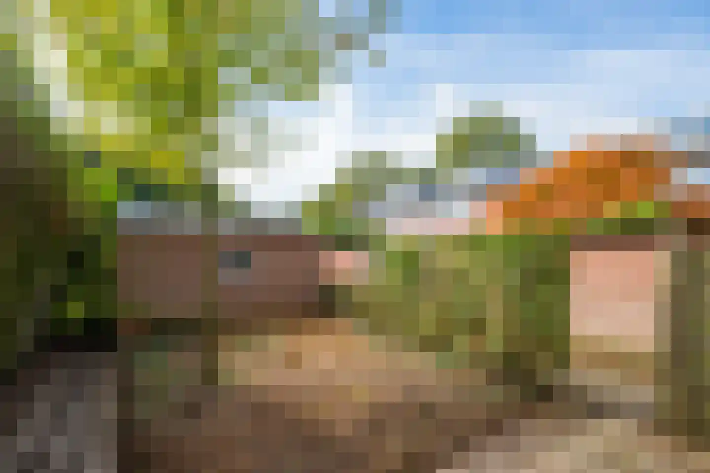 Bethlehemstraat 36 Gaanderen thumbnail 36
