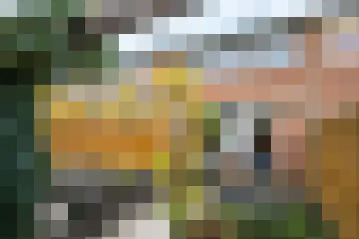 Bethlehemstraat 44 Gaanderen thumbnail 35