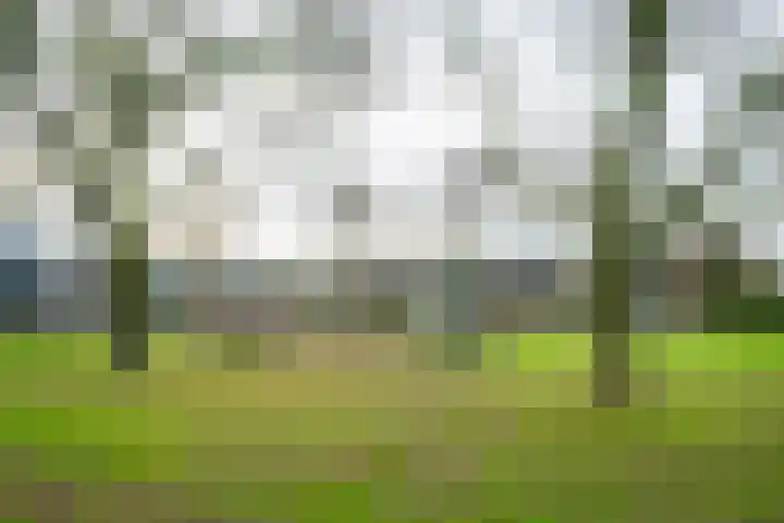 Bethlehemstraat 44 Gaanderen thumbnail 41