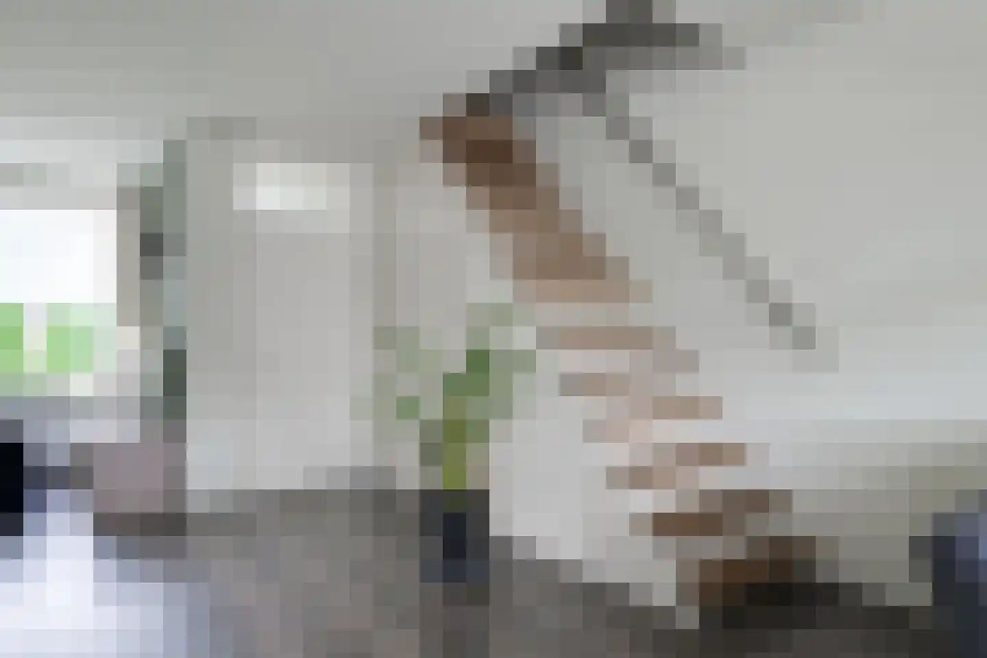 Bethlehemstraat 52 Gaanderen thumbnail 15