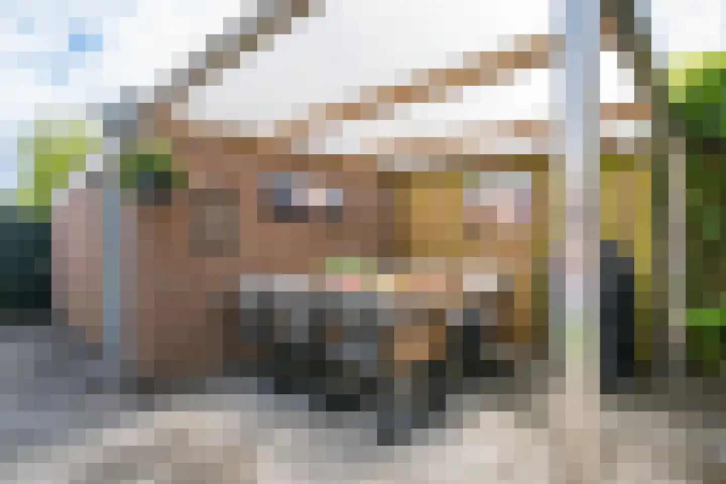 Bethlehemstraat 52 Gaanderen thumbnail 29