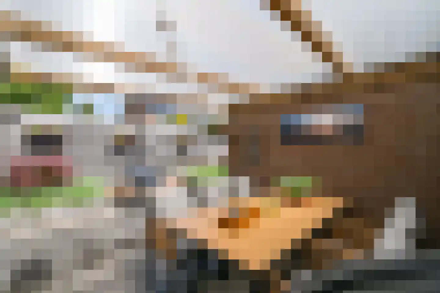 Bethlehemstraat 52 Gaanderen thumbnail 31