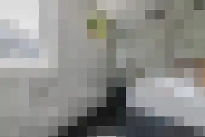 Bethlehemweg 29 Utrecht thumbnail 18