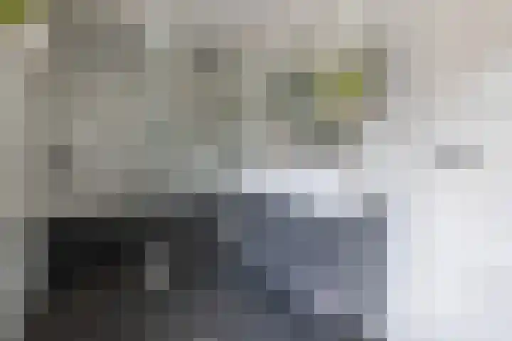 Bethlehemweg 29 Utrecht thumbnail 19