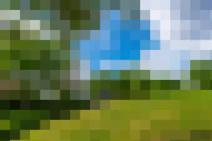 Bethlehemweg 29 Utrecht thumbnail 34