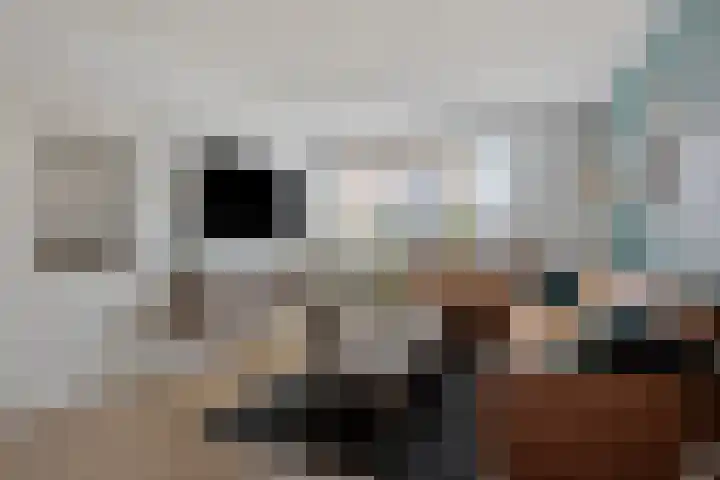 Bethlehemweg 40 Oostvoorne thumbnail 13