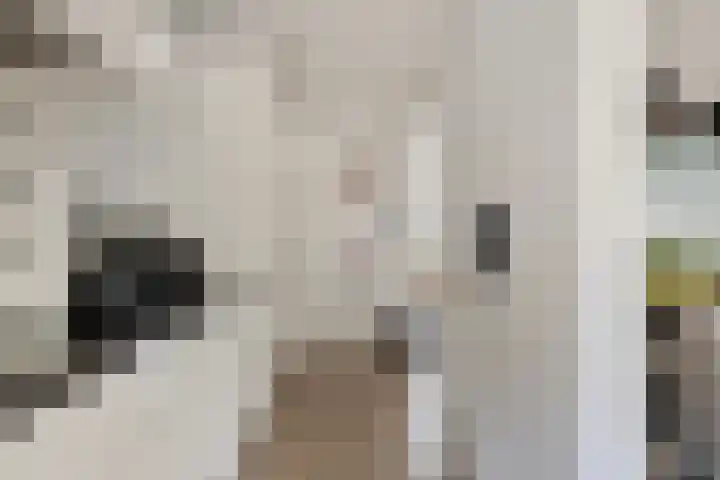 Bethlehemweg 40 Oostvoorne thumbnail 20