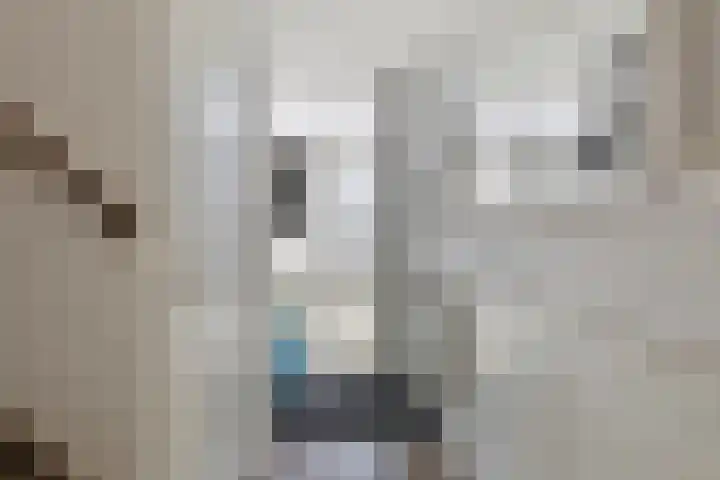 Bethlehemweg 40 Oostvoorne thumbnail 8