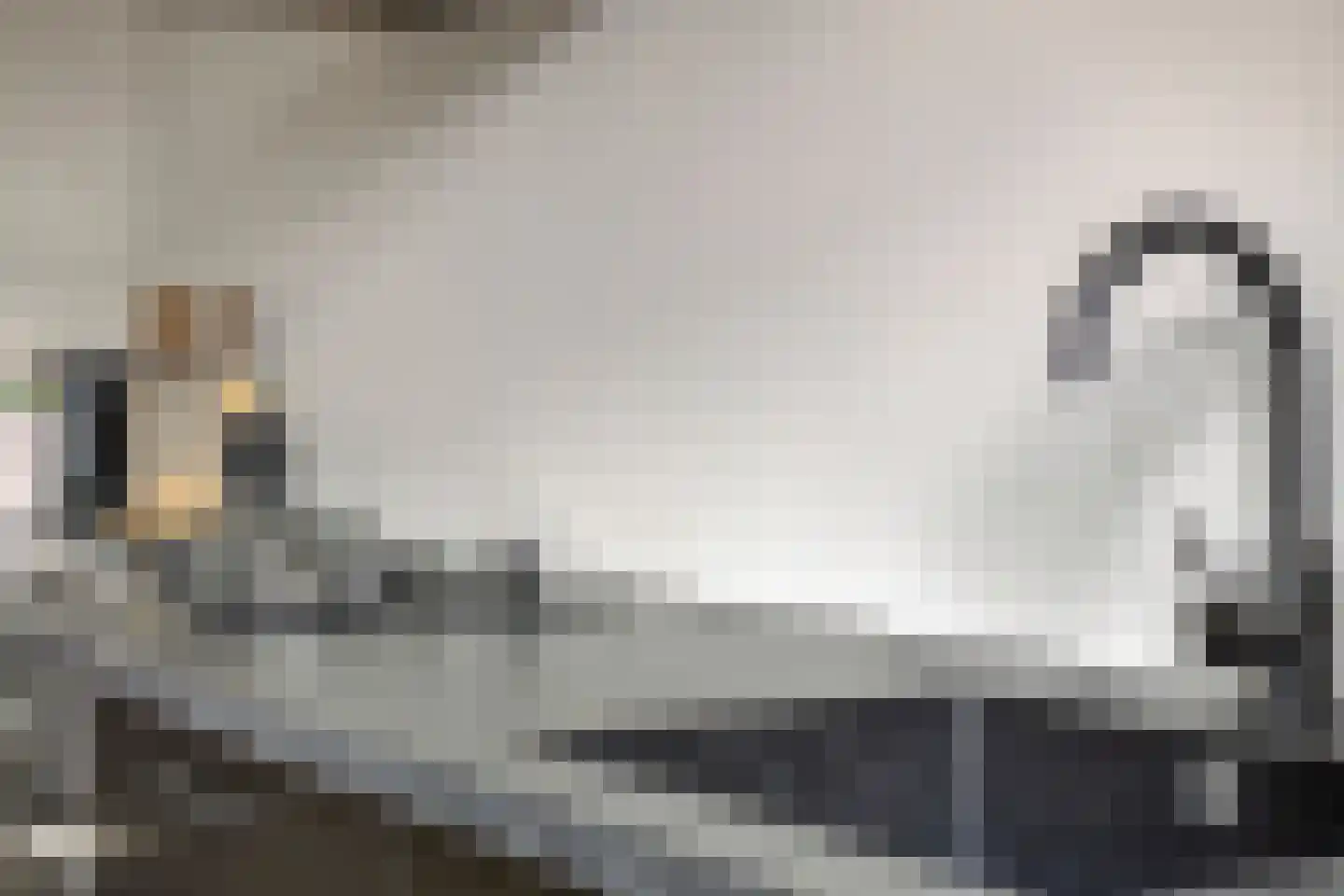 Bethlehemweg 41 Oostvoorne thumbnail 16