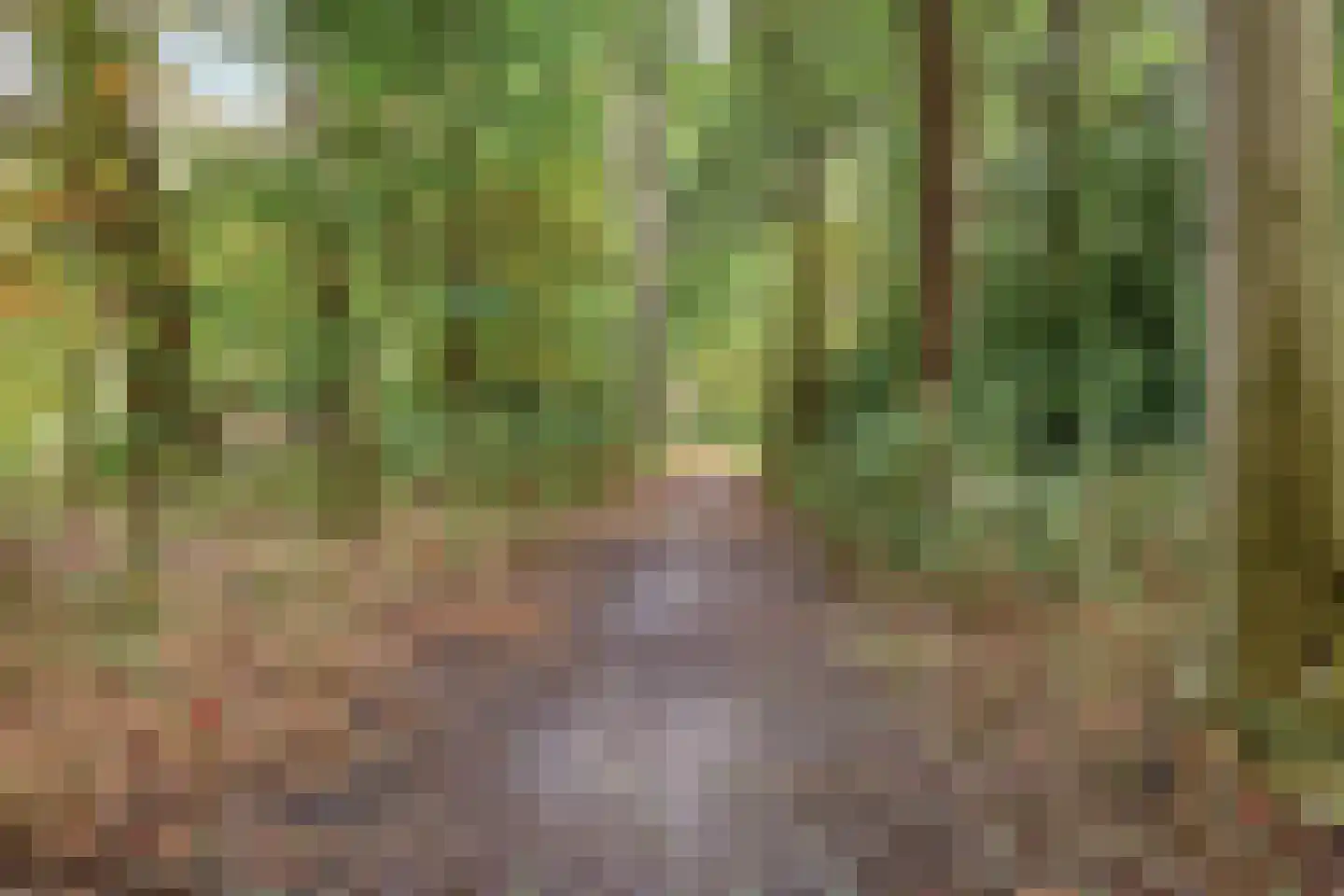 Bethlehemweg 41 Oostvoorne thumbnail 30