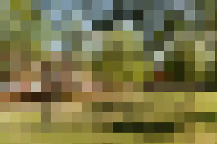 Bethlehemweg 5 Utrecht thumbnail 17