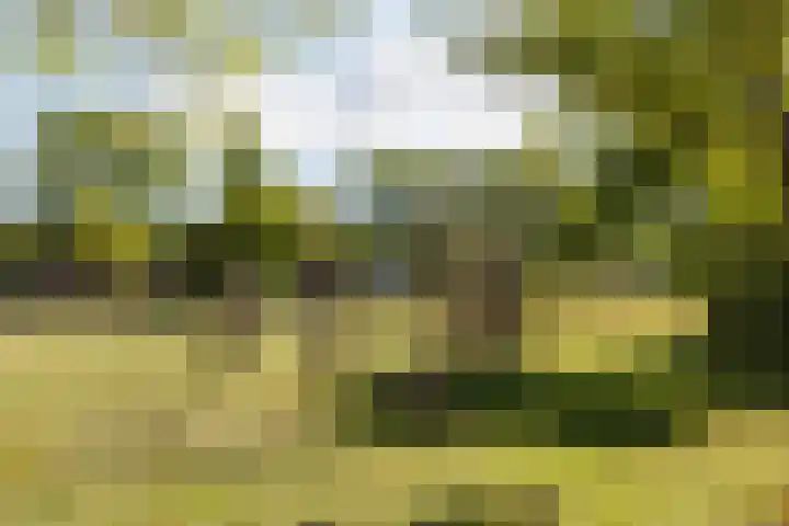 Bethlehemweg 5 Utrecht thumbnail 18