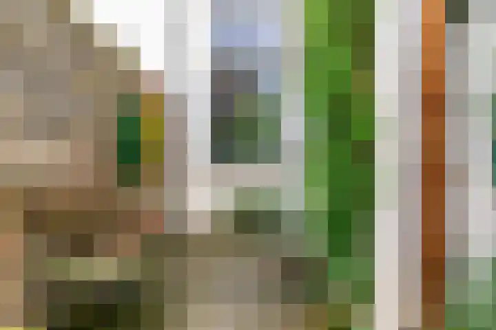 Bethlehemweg 57 Utrecht thumbnail 11