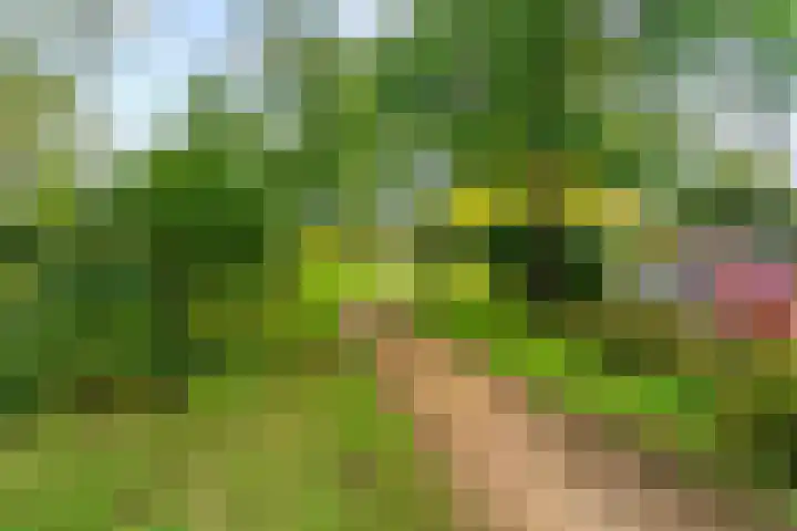 Bethlehemweg 57 Utrecht thumbnail 23