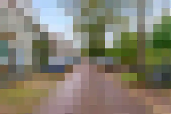 Bethlehemweg 57 Utrecht thumbnail 24